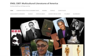 Multicult Lit Banner